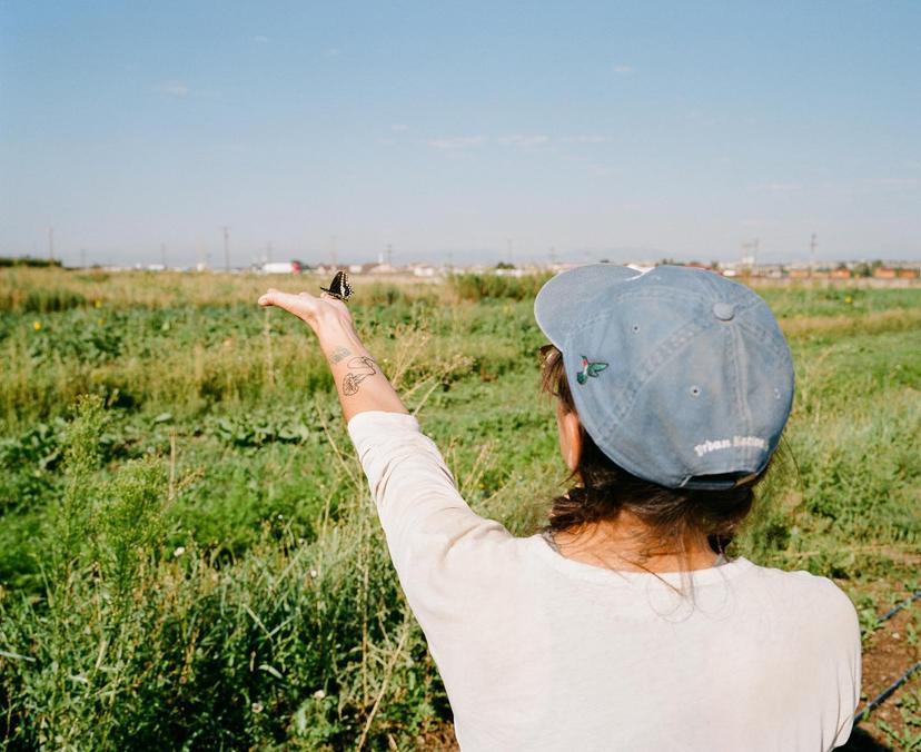 minoru farm butterfly