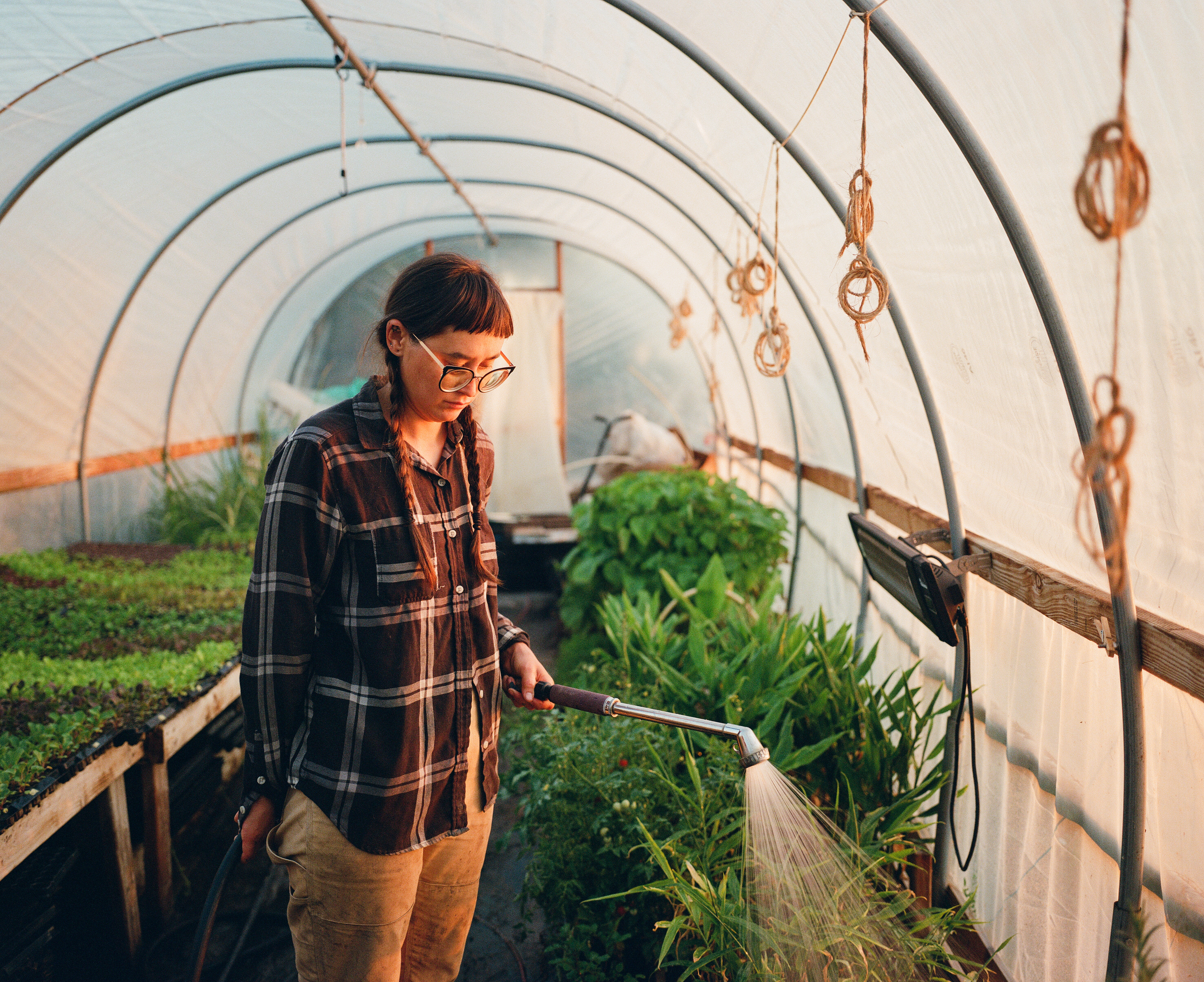 minoru farm watering
