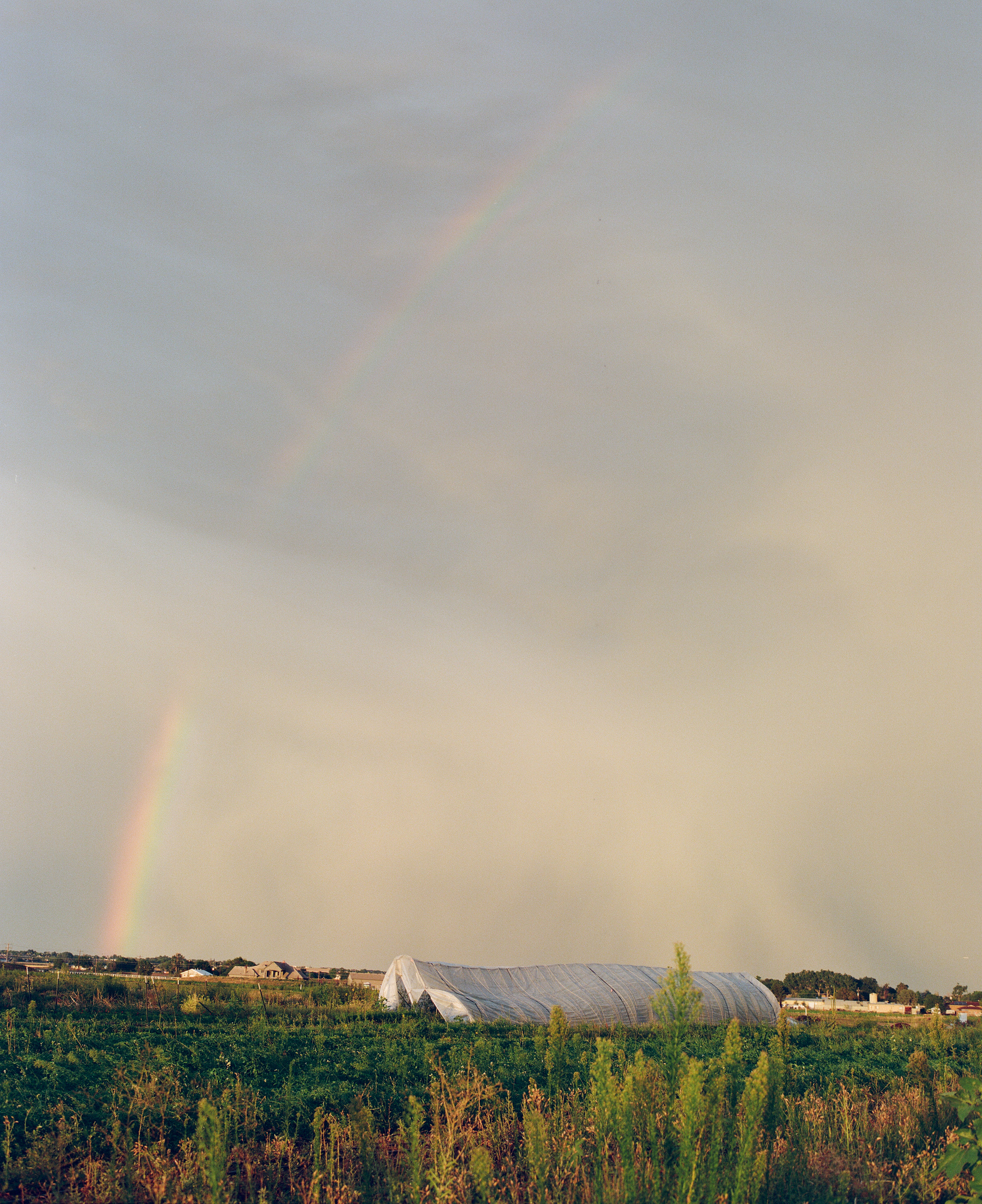 minoru farm rainbow