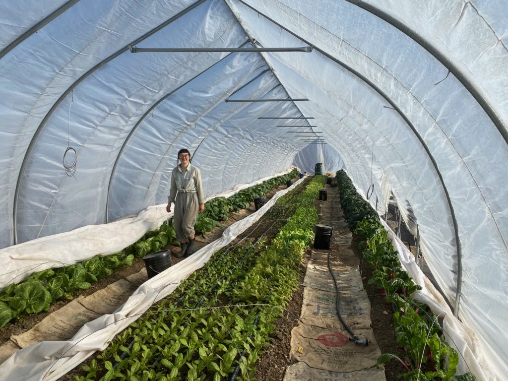 minoru farm tunnel
